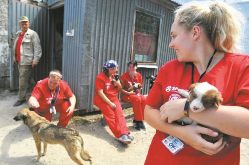 Le rêve américain des chiens de Tchernobyl Le rêve américain des chiens de Tchernobyl