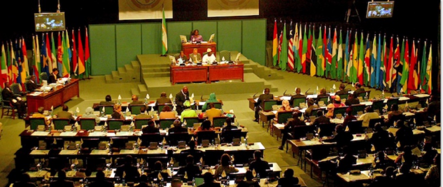 Des afro-députés marocains en Afrique du Sud