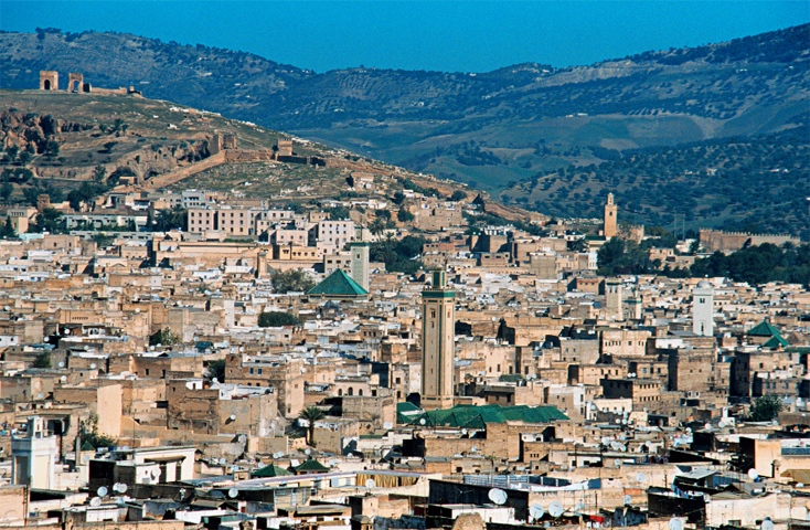 143 entreprises créées par les Marocains du monde dans la région Fès-Meknès au premier semestre