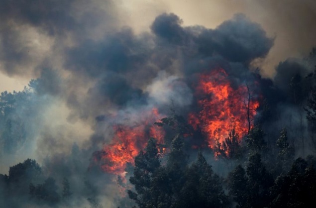Le réchauffement climatique, catalyseur des feux de forêt