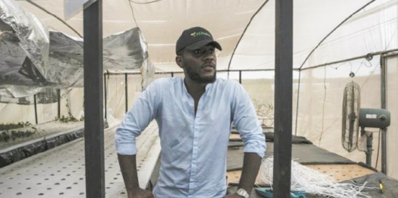 Jeunes, dynamiques, riches et ambitieux, les nouveaux "gentlemen farmers" du Nigeria