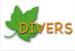 Divers