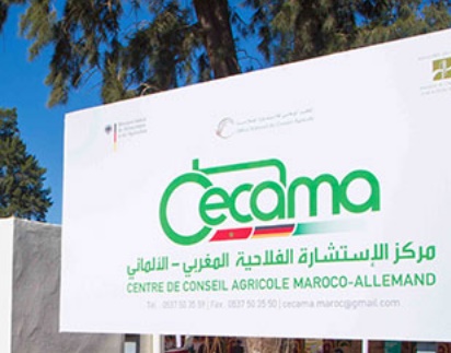 Signature à Marrakech d'une convention en vue de renforcer la durabilité de l'action du CECAMA