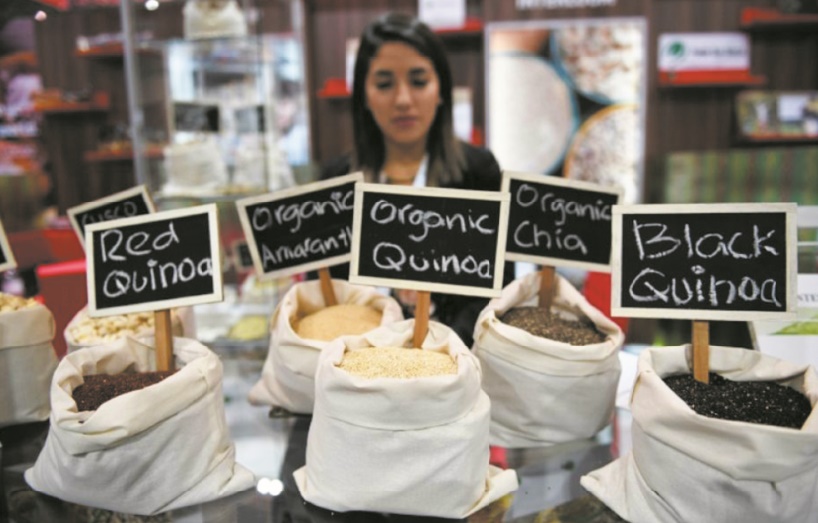 Que mangerons-nous en 2050 ? Que mangerons-nous en 2050 ?