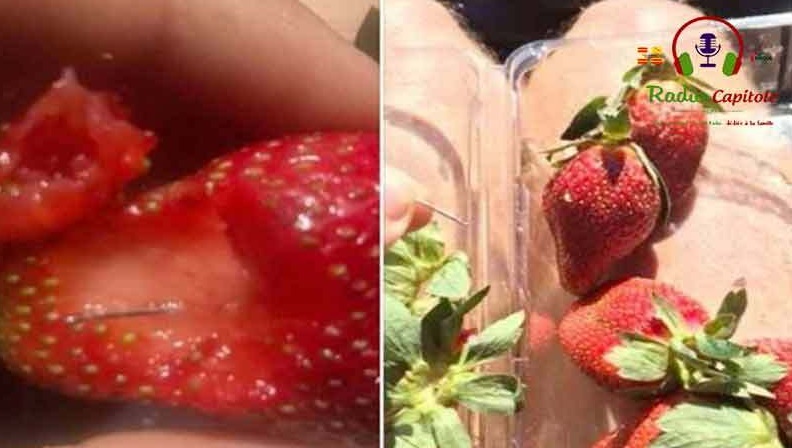 Insolite  : Mystère des fraises piégées