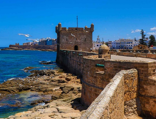 12 certificats négatifs délivrés en novembre dernier à Essaouira