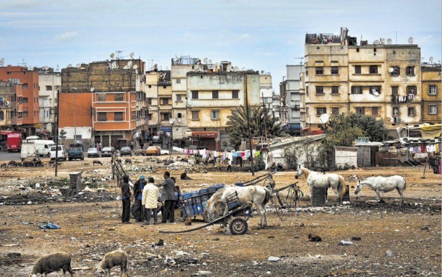 Persistance des disparités sociales malgré l’amélioration des conditions de vie Persistance des disparités sociales malgré l’amélioration des conditions de vie