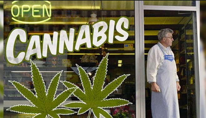 Le prix du cannabis au Canada en hausse après la légalisation