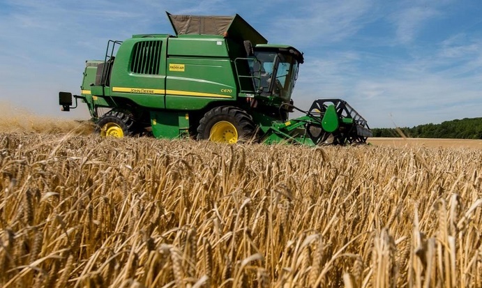 Benslimane enregistre un total de 93 mille ha emblavés en céréales d'automne