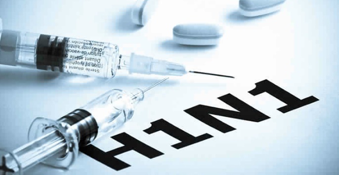 Grippe porcine H1N1