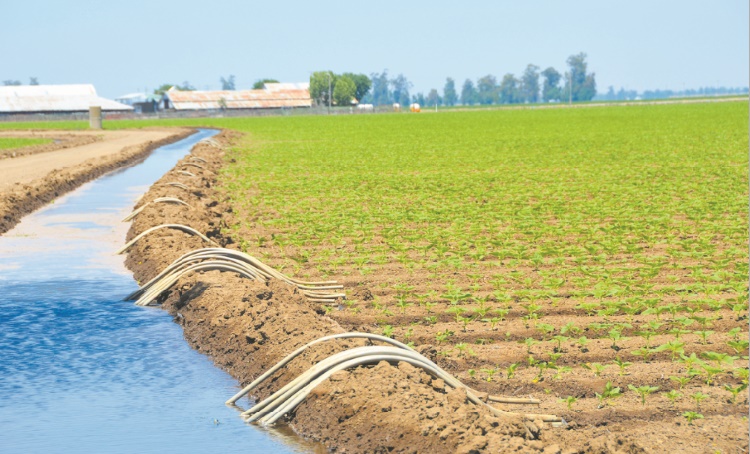 Plan agricole régional de l’Oriental : 7,7 MMDH investis entre 2008 et 2018