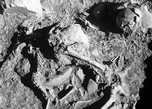 Des hommes préhistoriques aimaient leurs chiens, jusque dans la tombe
