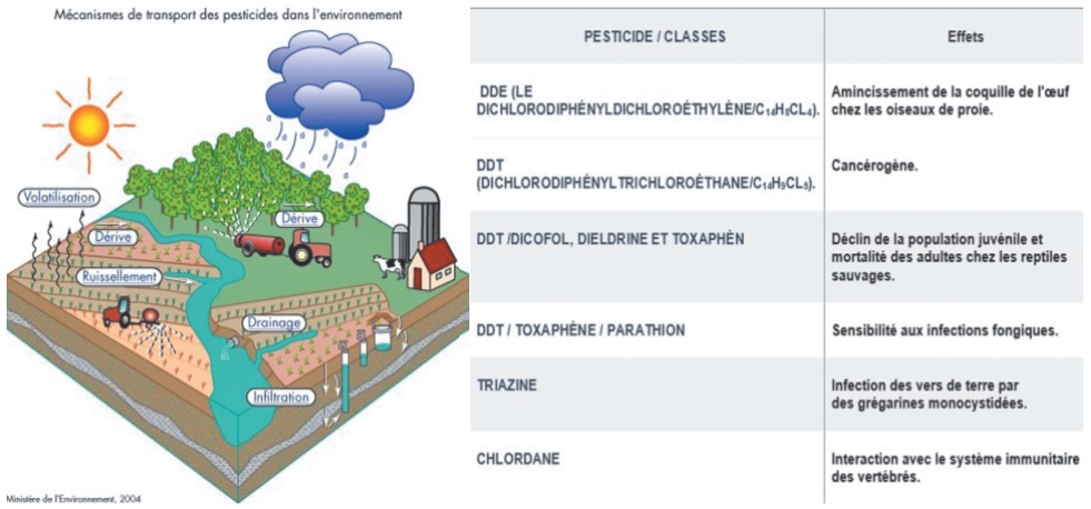 Pesticide bio et non bio, où est la différence ?