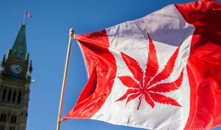 Pour de jeunes Canadiennes, le cannabis permet d'être une meilleure mère