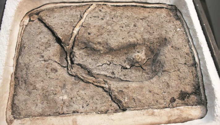 Découverte de la plus vieille empreinte humaine du continent américain