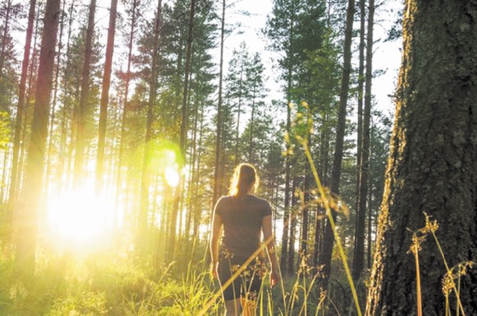 Pour protéger la nature et l'Homme, la science prône des changements profonds