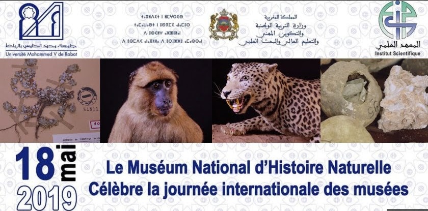 La faune et la flore à l’honneur lors de la journée internationale des musées