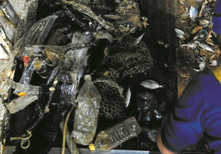 A la pêche au plastique dans l'Adriatique