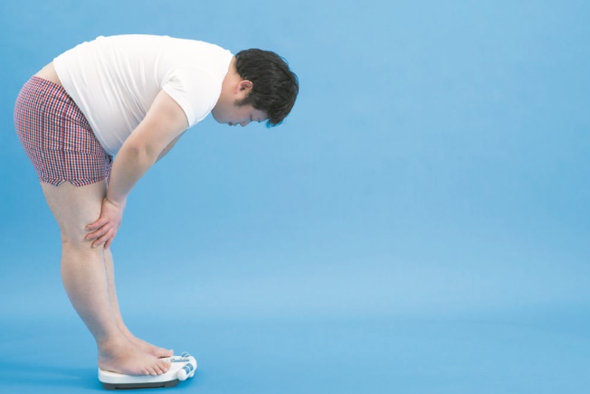 Bien-être et santé : Une bactérie pour combattre le syndrome métabolique Bien-être et santé : Une bactérie pour combattre le syndrome métabolique