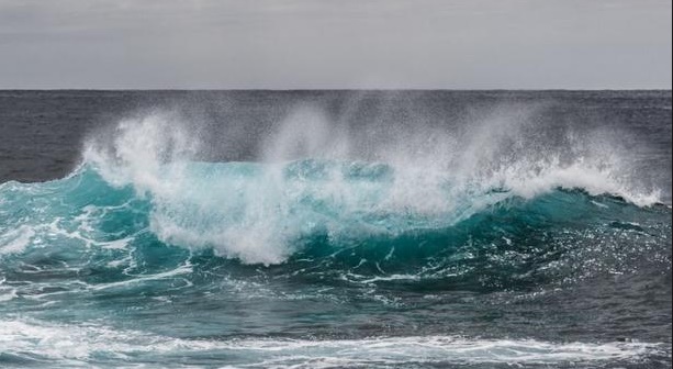 Antibiotiques, additifs alimentaires et pesticides retrouvés en mer