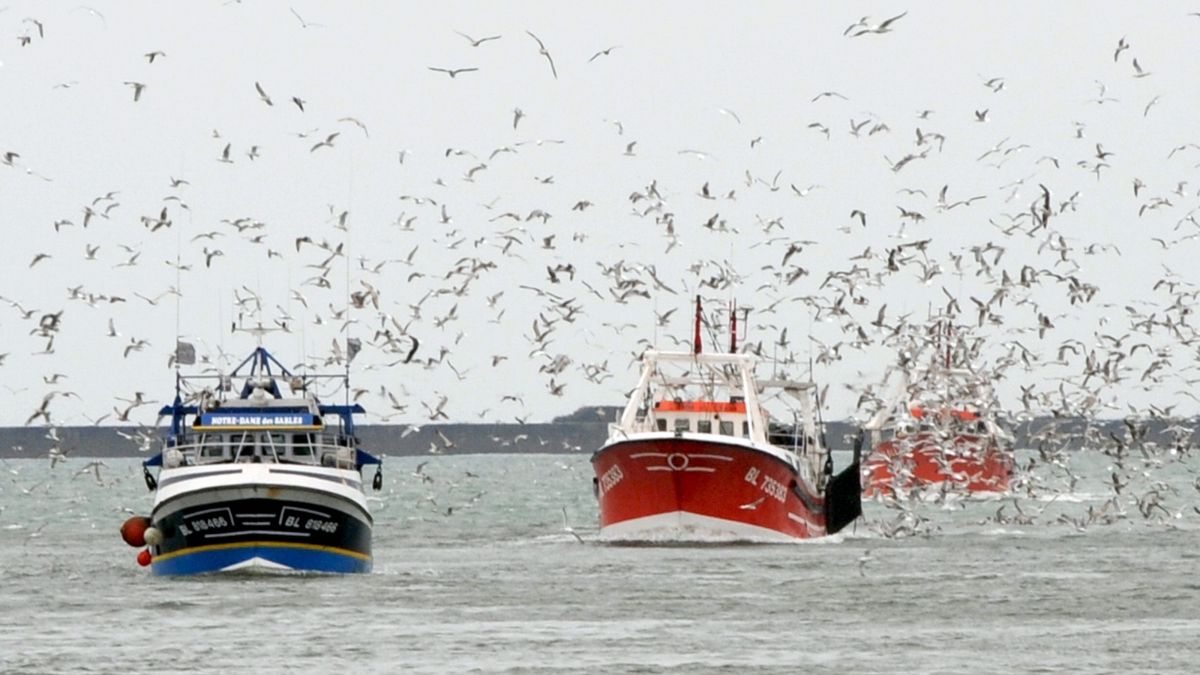 Les bateaux de pêche européens retournent dans les eaux territoriales marocaines