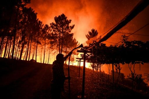 Mobilisation exceptionnelle pour lutter contre un vaste incendie au Portugal