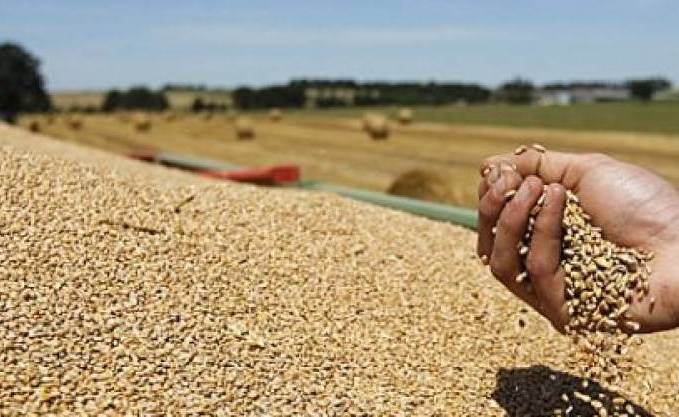 La production céréalière en forte baisse