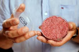 La viande de laboratoire en réponse à une demande mondiale croissante