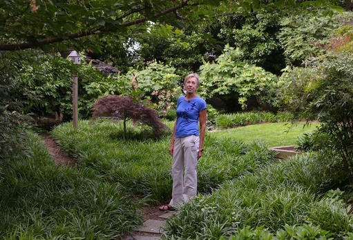 Des citadins transforment leur jardin en vraie jungle sauvage