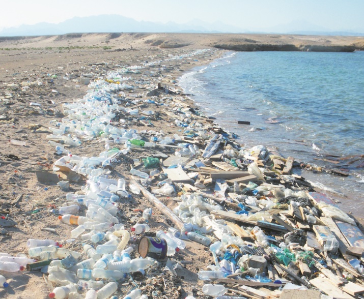 Le droit de l’environnement en est à ses premiers balbutiements Le droit de l’environnement en est à ses premiers balbutiements
