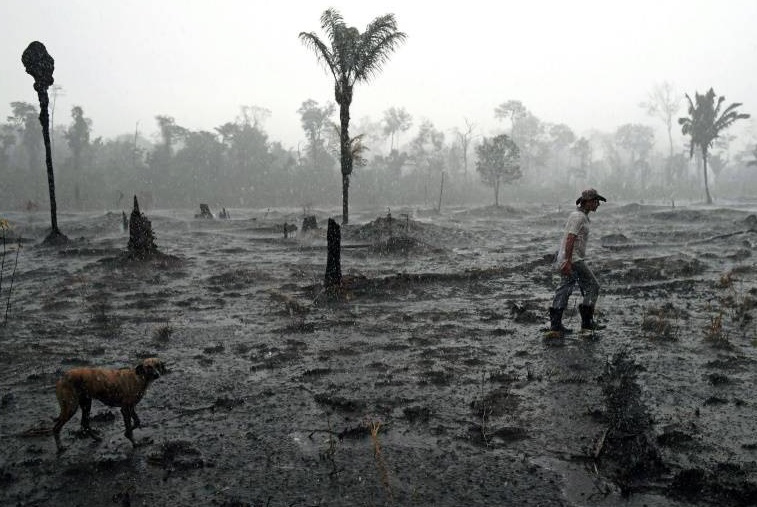 Le Brésil snobe l'aide du G7 et dit que les feux en Amazonie sont sous contrôle