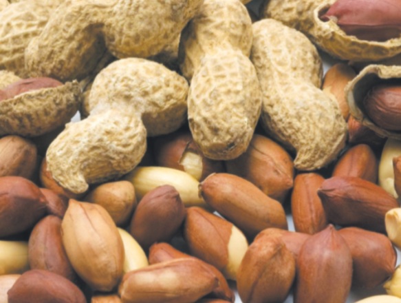 Les cacahuètes sont-elles bonnes pour la santé ?