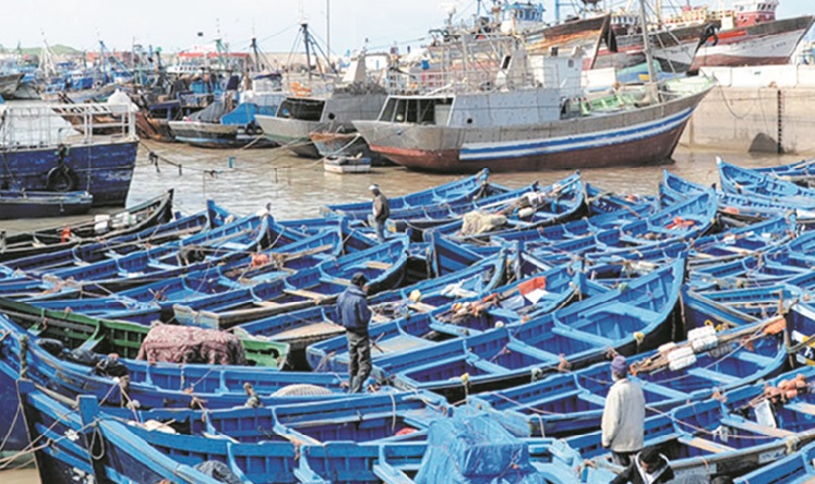 Les disciplines de l'OMC sur les subventions à la pêche en débat