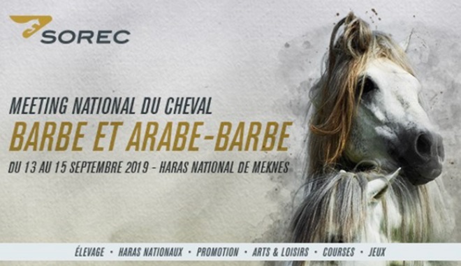Meknès abrite le 3ème meeting national du cheval barbe et arabe-barbe