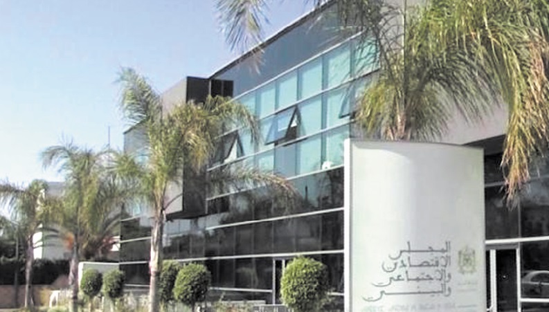 LE CESE appelle à accompagner la révolution des réseaux sociaux LE CESE appelle à accompagner la révolution des réseaux sociaux