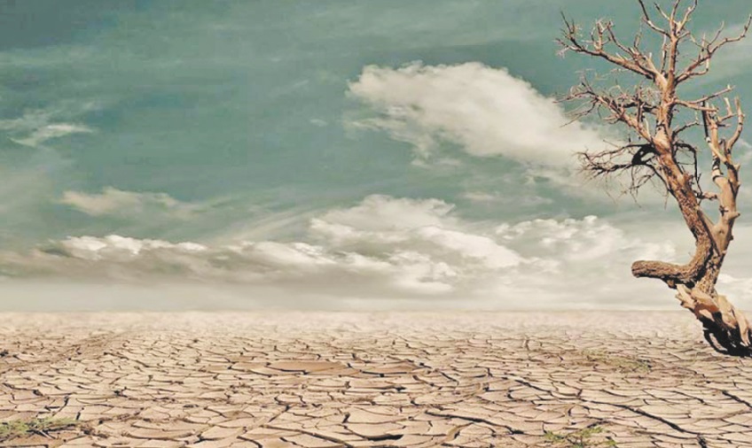 Dix scientifiques marocains s'associent à un appel mondial mettant en garde contre l’ urgence climatique