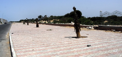Des acteurs associatifs et des jeunes se mobilisent pour le nettoyage de la ceinture verte d'Essaouira Des acteurs associatifs et des jeunes se mobilisent pour le nettoyage de la ceinture verte d'Essaouira