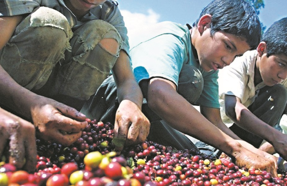 Le travail des enfants demeure préoccupant Le travail des enfants demeure préoccupant