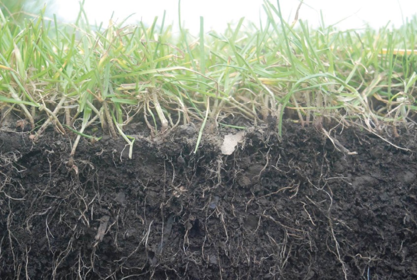 La Fondation OCP appuie le lancement de la carte de fertilité des sols cultivés au Ghana La Fondation OCP appuie le lancement de la carte de fertilité des sols cultivés au Ghana