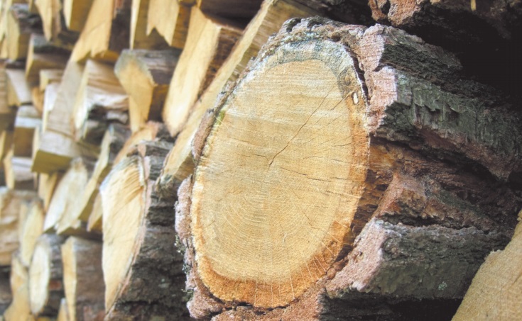 La production mondiale des produits dérivés du bois atteint sa plus forte hausse depuis 1947