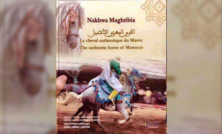 Présentation à Rabat de "Nakhwa maghribia, le cheval authentique du Maroc"