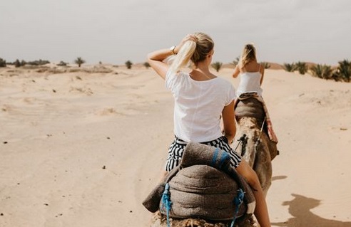 Insolite : Chute en chameau Insolite : Chute en chameau