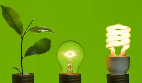 Lancement de l'appel à candidature pour le “Green Business Incubator” 2020