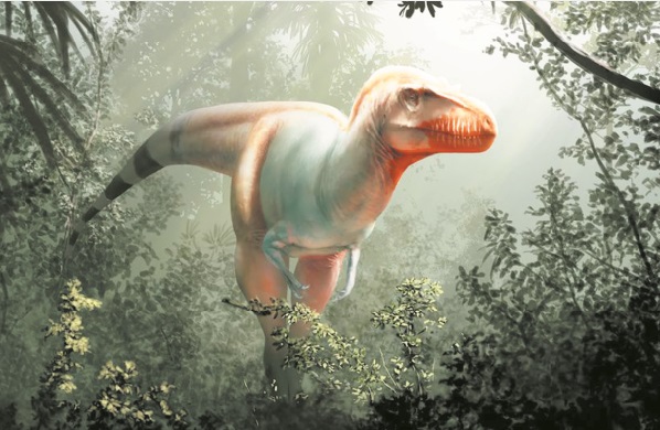 Un Lointain Cousin Du T Rex Decouvert Au Canada