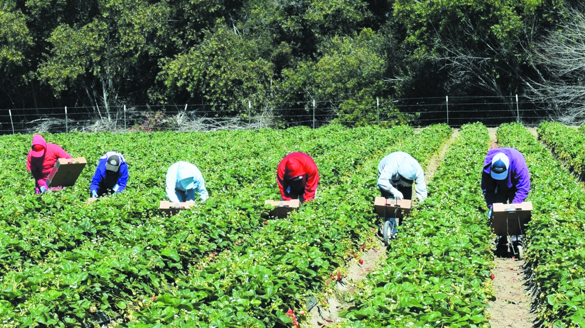 La femme marocaine marginalisée  sur le marché du travail