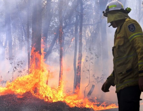 Le risque de feux de forêt augmente en Australie à cause des hommes