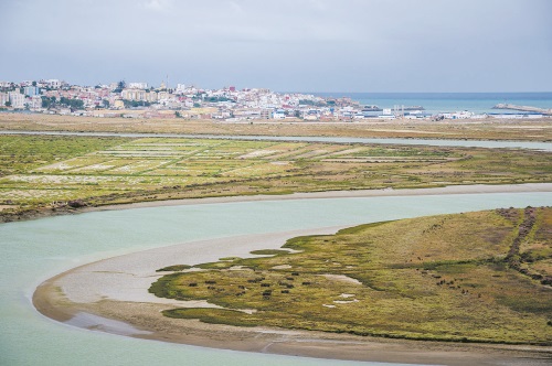 Plus de 32 MDH alloués à des projets hydrauliques par l’Agence du bassin du Loukkos