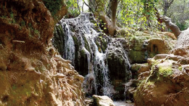 Le confinement redonne des couleurs à la nature à Ifrane
