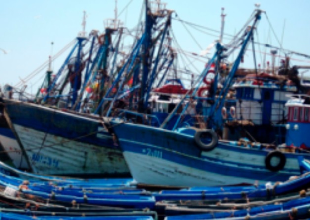 L'activité de la pêche maritime se poursuit et l'offre sera renforcée