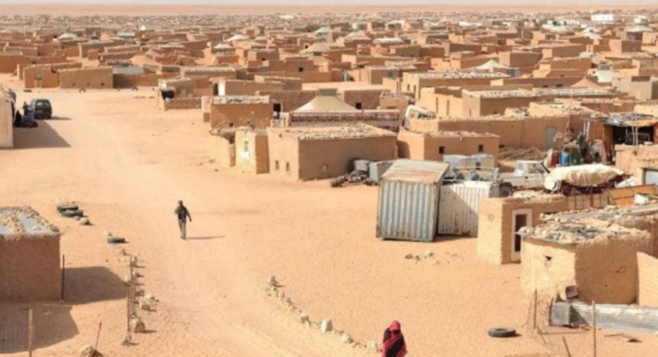 Les camps de Tindouf sont peuplés de Touaregs et d’étrangers